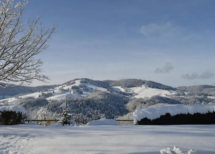 Haus Ruemmele - 1 Апартаменты *